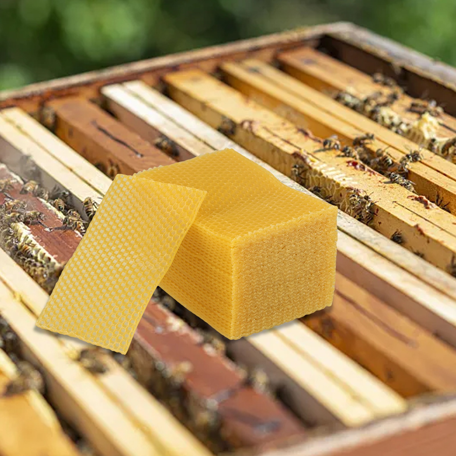 Arkuszki woskowe do budowy uli – Candle Making Kit Beeswax recenzja i cena